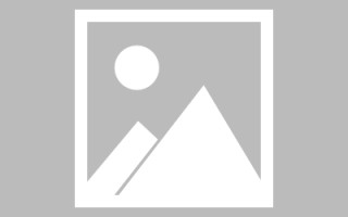 宁德绥化网站搭建公司有哪些（信息网绥化）